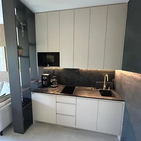 Appartamento Shellter Premium Apartments Rogowo